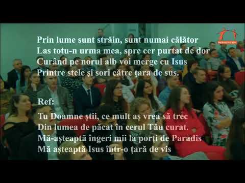 Luiza Spiridon & Robert Măimăscu |  Această lume tristă