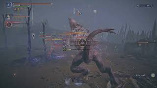 ELDEN RING NIGHTREIGN_20261017201345