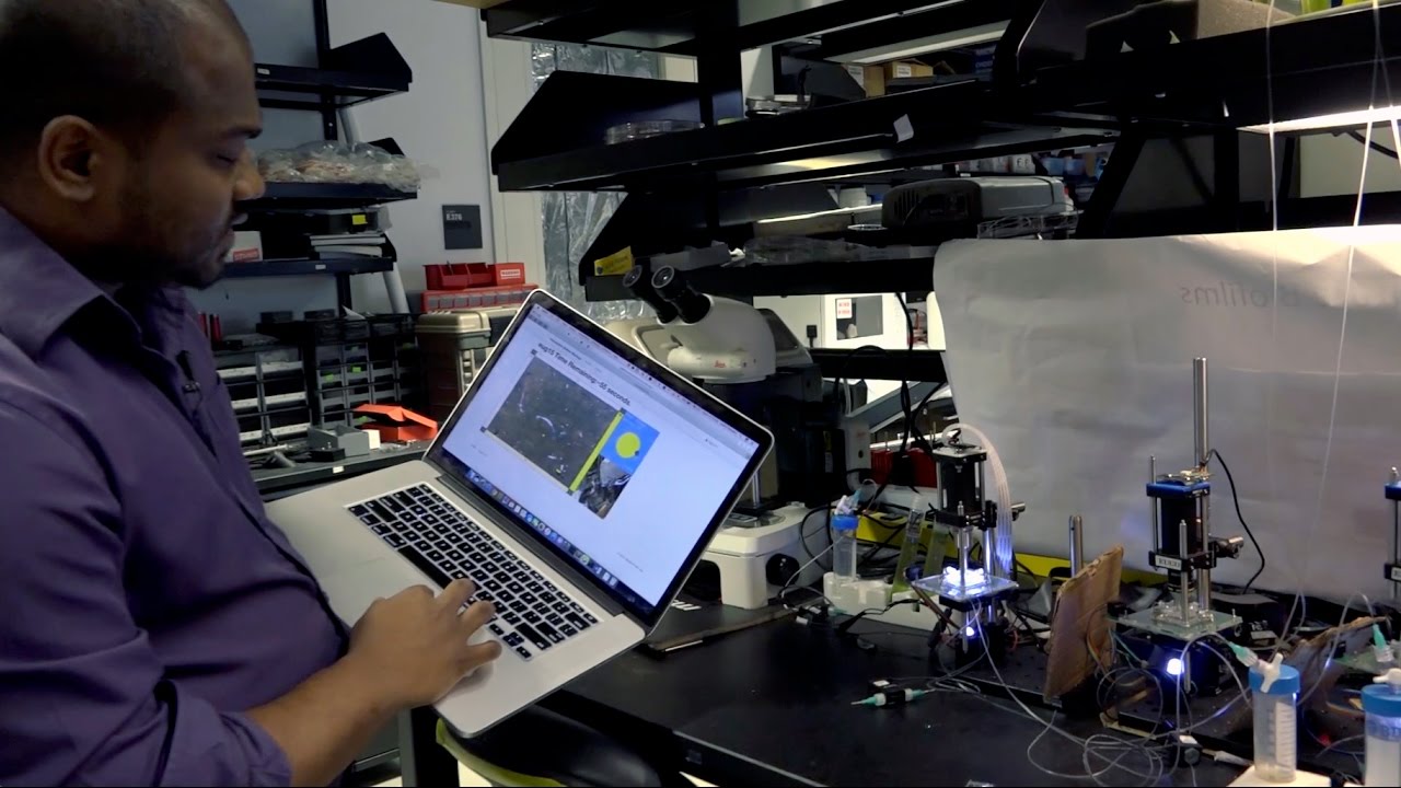 Stanford researchers create Interactive Biology Cloud Lab