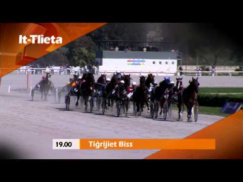 Preview Trailer Tigrijiet Biss
