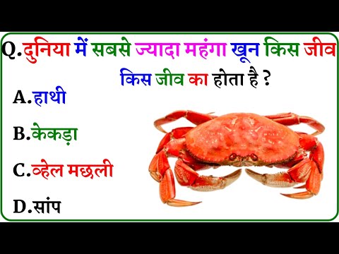 GK Question || GK In Hindi || GK Question and Answer || GK Quiz ||