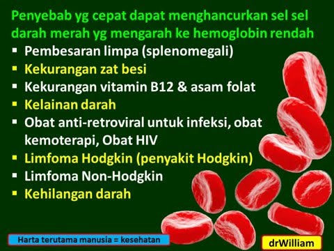 Hammer torus perak Audio patogen wanita mendengarkan i