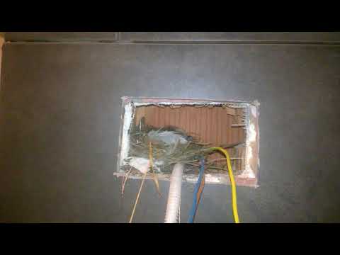 Żołnierze! Baczność!