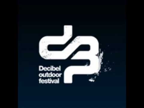 Project Entity: Decibel Outdoor Festival 2013 Pre-Mix [320 KBPS] [HQ]