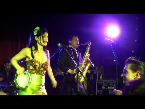 Loolie and The Surfing Rogers. "Bring Out the Gimp/Comanche"