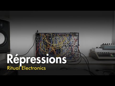 Ritual Electronics Répression 1U image 2