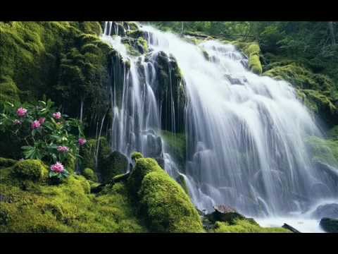 ✿⊱╮Relaxation and Meditation - The Secret Waterfall ✿⊱╮
