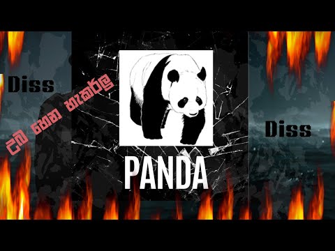 Real P SS - PANDA (පැන්ඩා) | (Reply Diss) |  ( Official Music Video )
