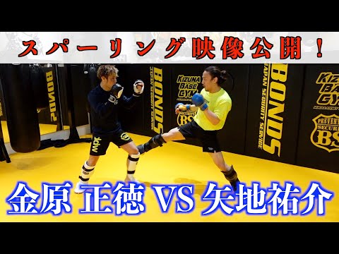 矢地祐介VS金原正徳、試合直前のスパーリング映像公開