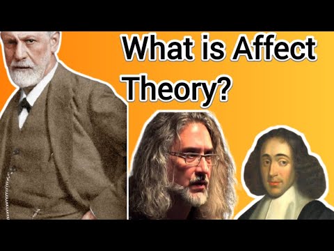 What is Affect Theory?