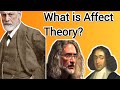 What is Affect Theory?