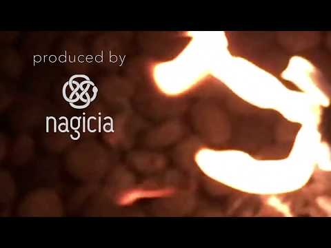 ✰ Nagicia Jewelry X Ali Charisma X Christophe C. Salon ✰