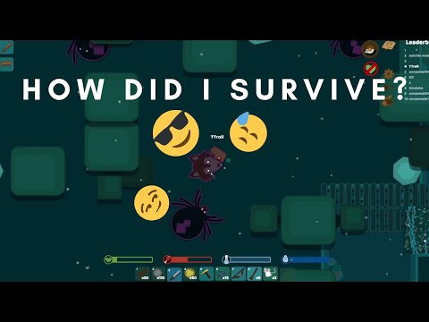 IT was a millionth of chance I would survive this - Starve.io