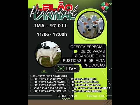 LEILÃO Virtual e Presencial da Cruzeta Leilões / Frutal - MG / Dia  11/06/2026