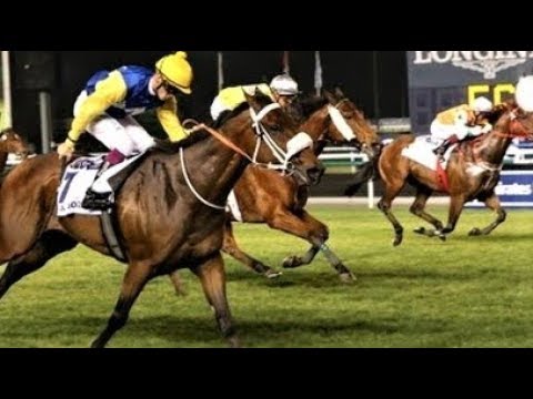 2013 Al Quoz Sprint G1 - Shea Shea (謝謝您) - C Soumillon (香港馬時尚風采,鷹之團力拚分列第二及第三)