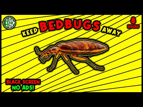 ANTI BEDBUGS REPELLENT SOUND ⛔🐞 KEEP BED BUGS AWAY - ULTRASONIC SOUND