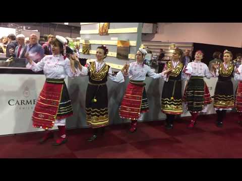 Ширто & Мелнишко хоро - MEGAVINO 20.10.2017 - На Хорото в Брюксел