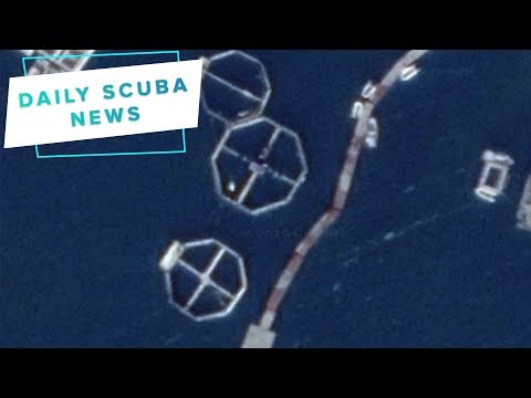 Daily Scuba News - Russia’s secret Arctic marine mammal base