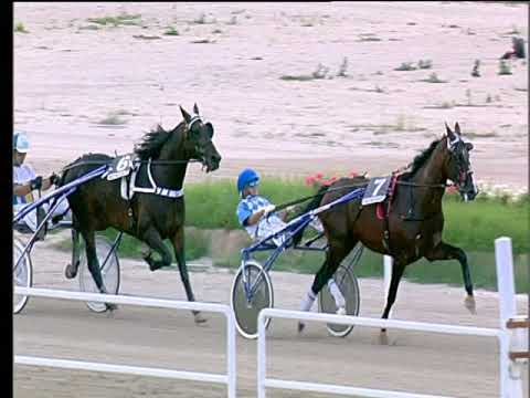 Trotto 07/06/2018 - 6ª corsa