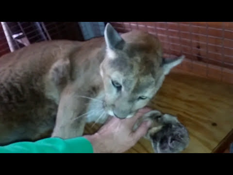 Another short session with Talina on 2016/10/22