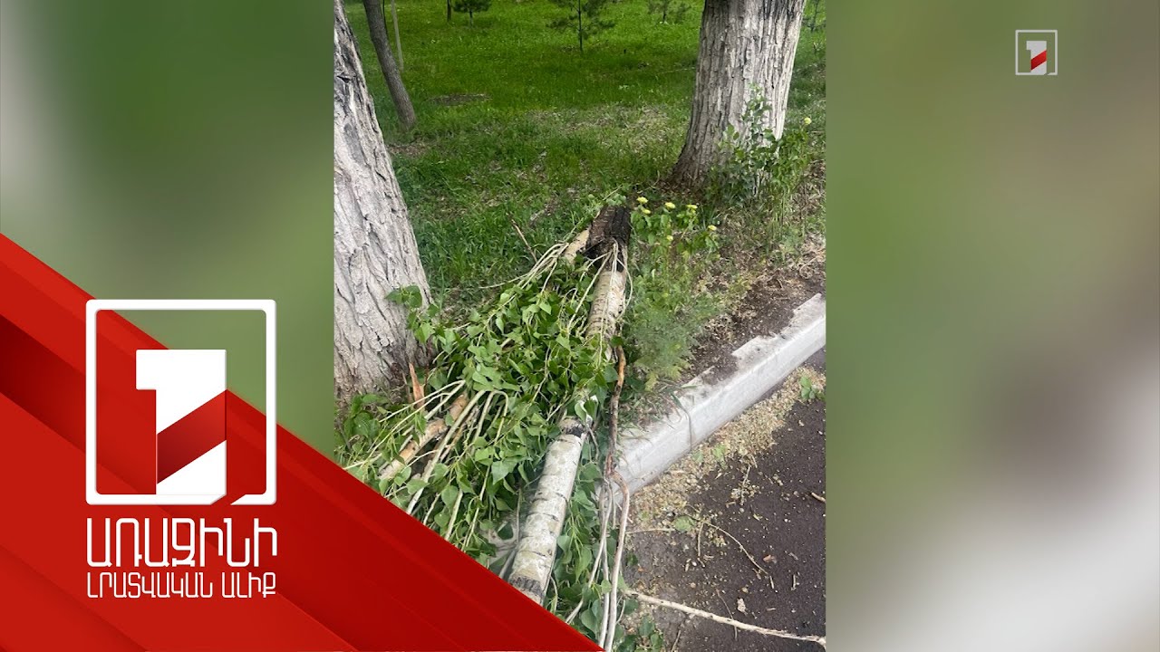 Ծառի մի հատված քամուց պոկվեց ու ընկավ գլխիս. մայիսի 11-ի սաստիկ հողմի հետևանքները