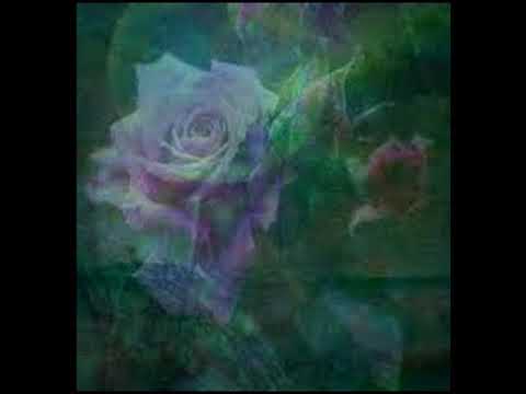 Shanti People - Bhavani Dayani (Psycrain Remix)