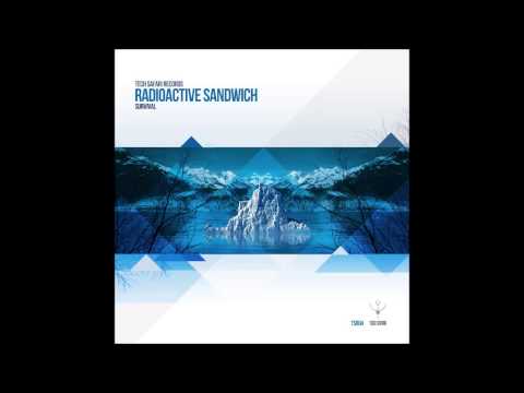 Radioactive Sandwich - The Storm