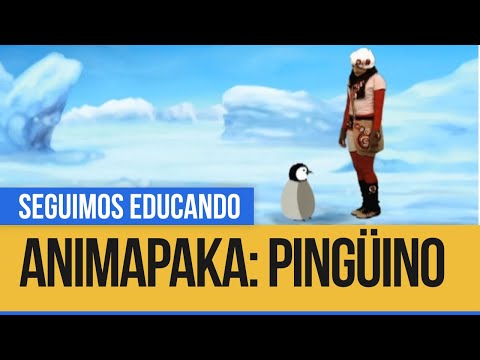 Animapaka: Pingüino - Seguimos Educando