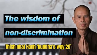 Download lagu The wisdom of non-discrimination  [Thich Nhat Hanh Buddhas way 20] mp3