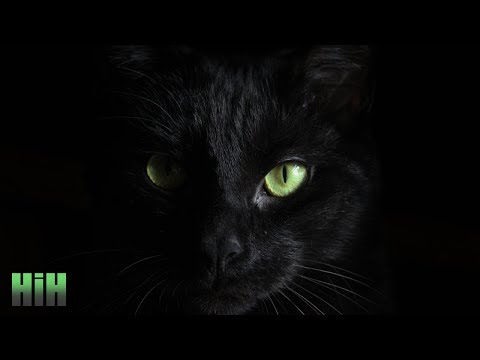 Frankyeffe & Seismal D - In Your Eyes ft. Njira