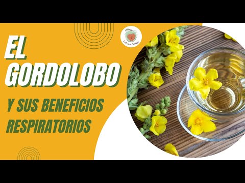 THE MULEFOIL: What It's For