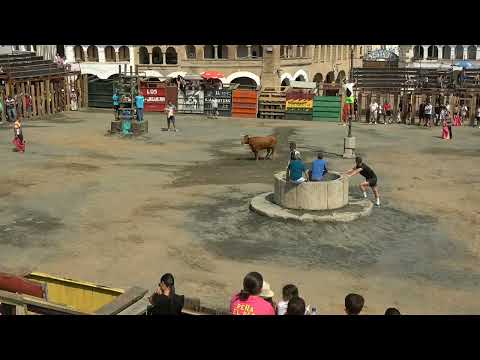 Capea matutina en directo Garrovillas de Alconetar