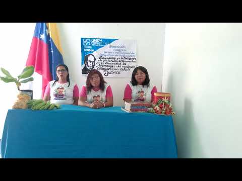 Elaboración y Distribución de Platanitos Artesanales en la Comunidad La morrocoya. GUARICO