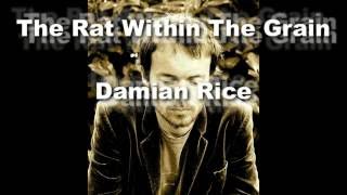 Damien Rice - The Rat Within The Grain lyrics
