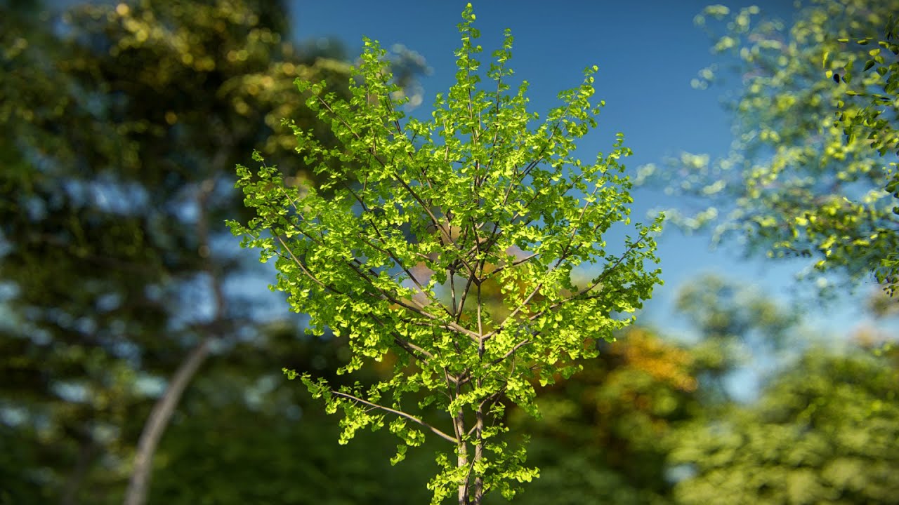 Learn How to Get the Best High-Quality Trees in Lumion