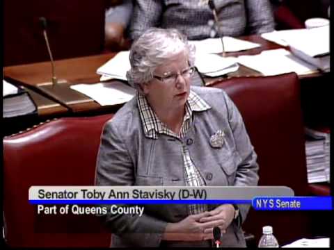 NYS Senator Toby Ann Stavisky session comments - 6/30/10