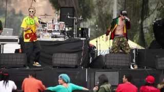 Jamming Festival 2013 / Herbivoro