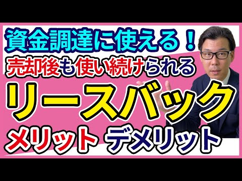 リース星雲の衛星画像。