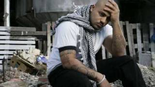 Massiv - Meine Zeit [2009]