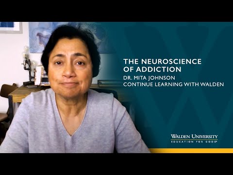 The Neuroscience of Addiction – School of Lifelong Learning