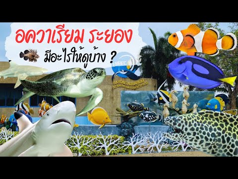 Rayong Aquarium