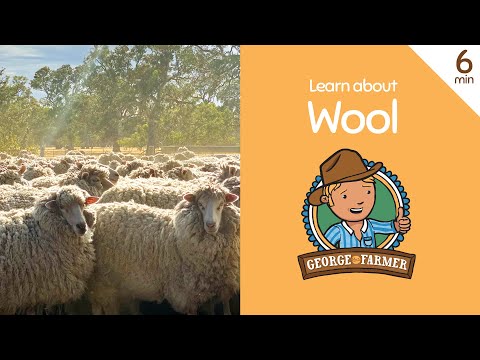 Wool from Sheep with George the Farmer