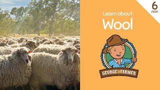 Wool from Sheep with George the Farmer