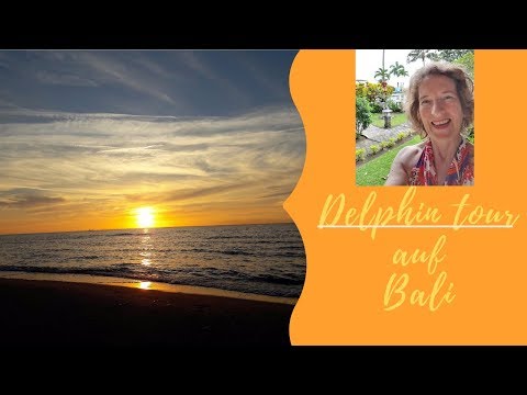 Delphin tour auf Bali