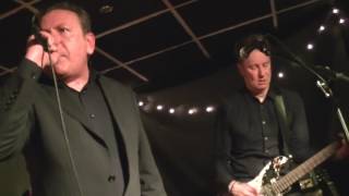 The Godfathers 11 A Big Bad Beautiful Noise