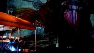 AniMotion Show - LIVE Edinburgh Fringe 2015 - Evelyn Glennie