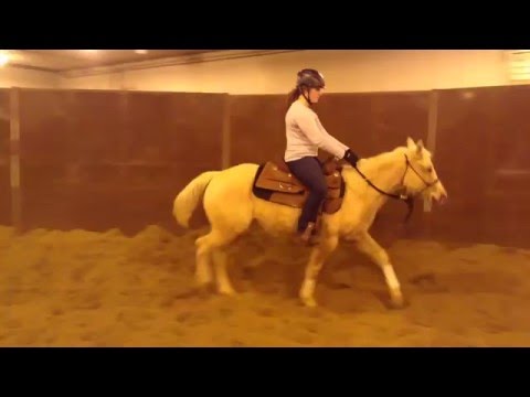 UWRF Colts in Training 2016: Cragos Double Gold