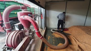 بيع ناقلة الحبوب الهوائية MD PO Saug-Druckgeläse mit dem 3 Ventilator T 449, 449/1 - صورة 4 | Agronetto AE جديدة ناقلة الحبوب الهوائية MD PO Saug-Druckgeläse mit dem 3 Ventilator T 449, 449/1 | صورة 4 - Agronetto