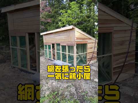 庭のどこに鶏小屋を置きますか？最適な場所を選択するための 5 つのヒント  庭園
