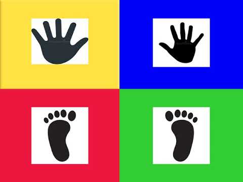 DESAFIO  DOS MOVIMENTOS PÉS  E MÃOS